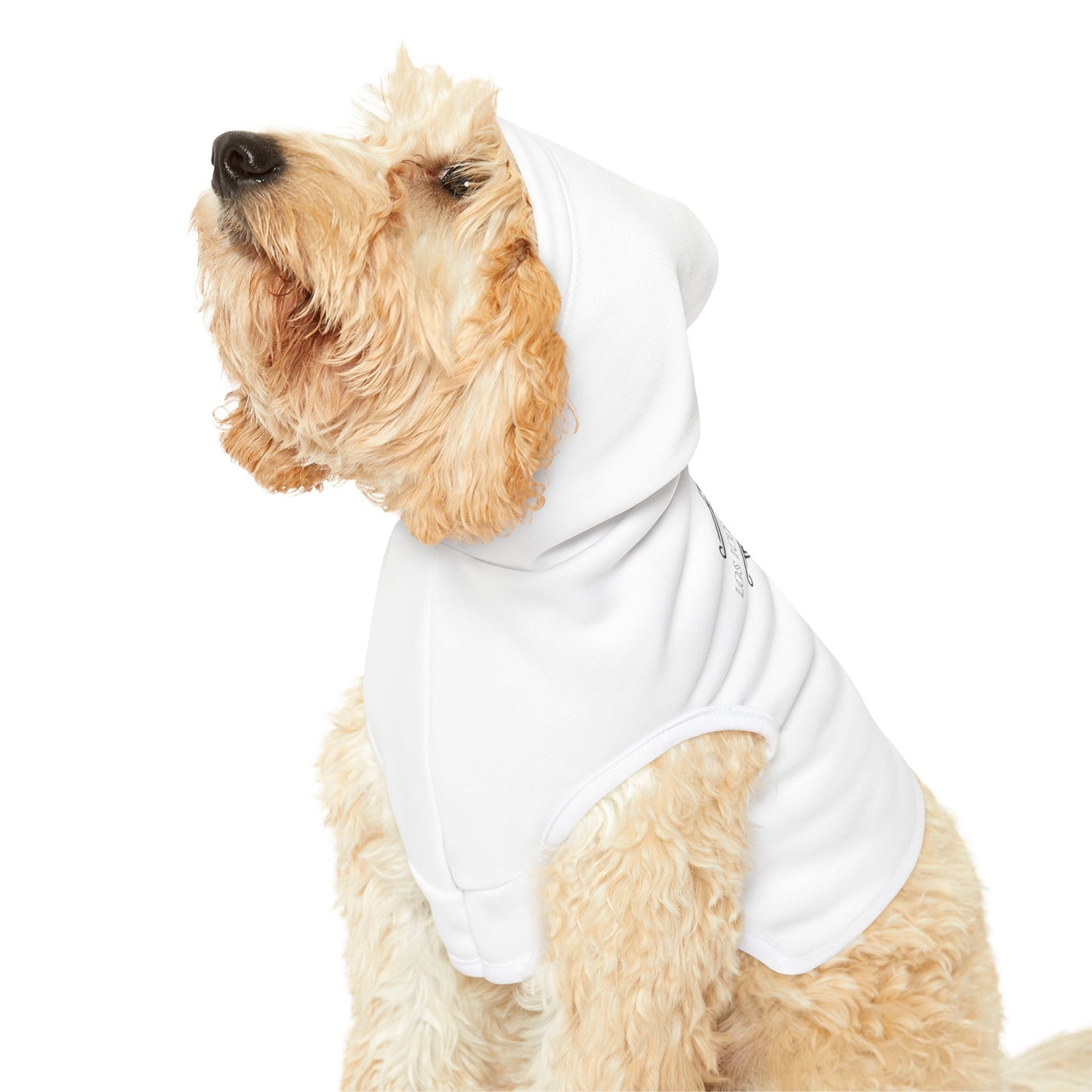 Los Iconos De La Bachata Pet Hoodie