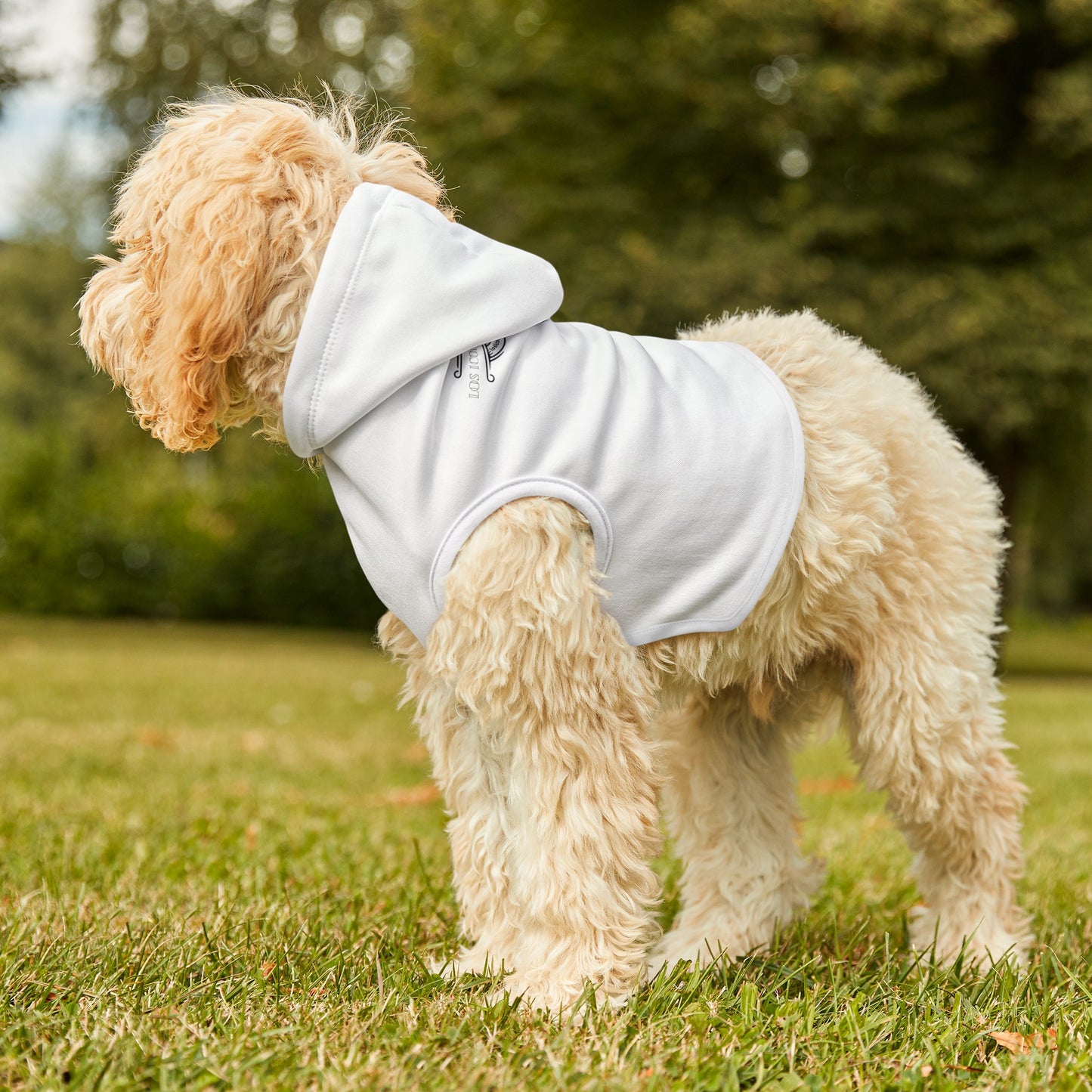 Los Iconos De La Bachata Pet Hoodie