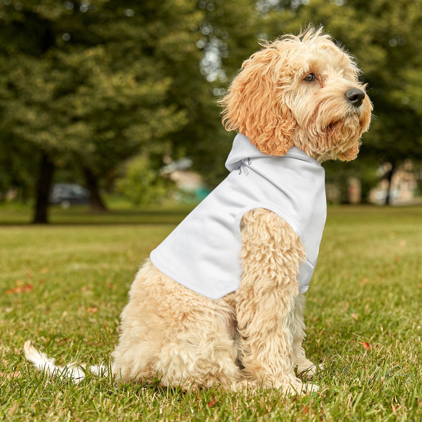 Los Iconos De La Bachata Pet Hoodie